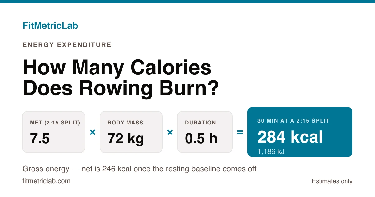 MET formula card showing 7.5 METs x 72 kg x 30 minutes giving 284 kcal (1,186 kJ) for a 2:15 split rowing session