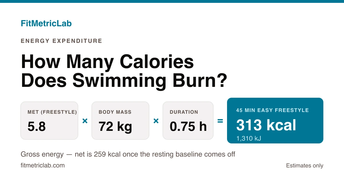MET formula card showing 5.8 METs x 72 kg x 0.75 h giving 313 kcal (1,310 kJ) for a 45-minute freestyle swim